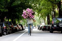 125_ms9m684710streetwso.jpg